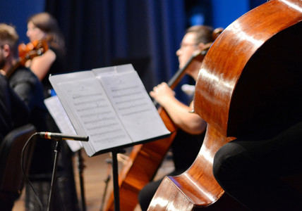 Violoncelle et partitions au cœur d'un orchestre