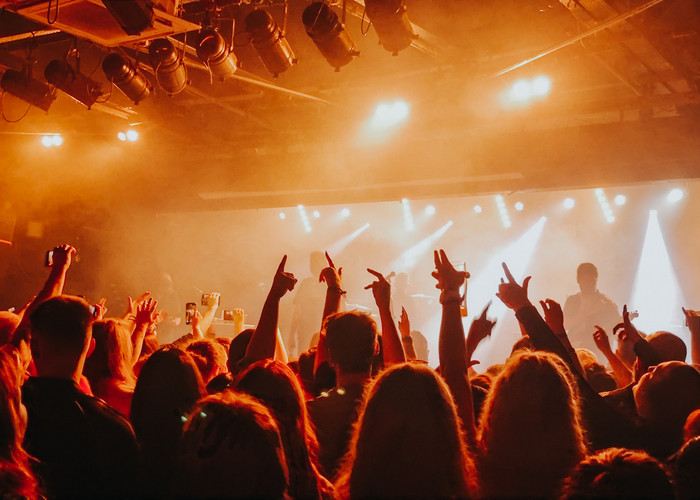 Foule assistant à un concert